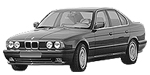 BMW E34 P0D0A Fault Code